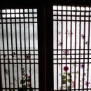 블루문펜션 - 강릉시 금진일출길 30 | 블루문펜션