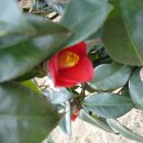 차령산맥 이미지