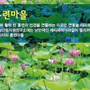 산포홍련마을 이미지