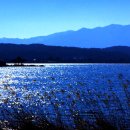 로사목장 이미지