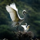 나래기획 이미지