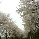 여주고등학교 이미지