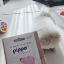 주식회사 펫펄스랩 | 펫펄스랩 삐뽀 강아지 소변검사키트 강아지선물 추천