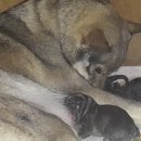 하운농장 이미지