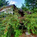 덕풍황토방 이미지