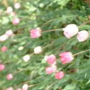 파워포인트 2010 이미지