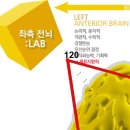 HB두뇌학습클리닉 이미지
