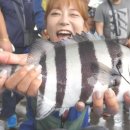 어두일미 이미지