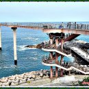 등기산스카이워크 이미지