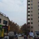 신자금성 이미지