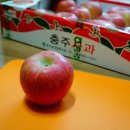 은비네식품 이미지