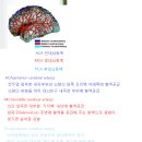 대뇌동맥류 (cerebral arteries) 이미지