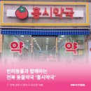 홍시약국 이미지