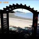 솔향기공원 이미지