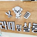 라떼멍살롱 이미지