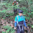 재박이네 이미지