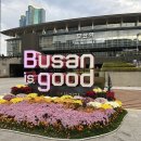 철도종사자 적성검사 최초검사 합격 코레일 인재개발원 부산
