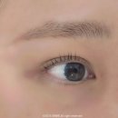 뷰티플럼 | 천호역속눈썹펌 잘하는 플럼뷰티 속눈썹펌 후기