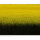 내품에햇살 이미지