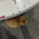 능실중학교 | 그대로 멈춰줘요