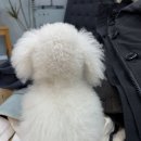 수선하는세탁소 - 김포시 양곡2로60번길 52 | 수선하는세탁소