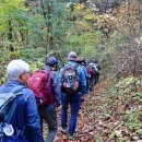 바우길 10구간 이미지