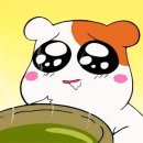 김동현의용곱창