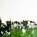 광덕안정한의원 인천작전점 이미지