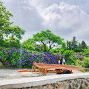 동광리-13 이미지