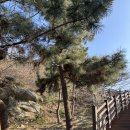 ［강원도 속초］속초 가볼 만한 곳 바다풍경 영금정 방문 후기 🌟