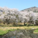 여명로25번길 이미지