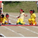 회진초등학교 이미지