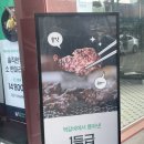솔직한우 용산점 이미지