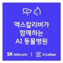 수원 스카이 동물메디컬센터 이미지