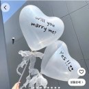 버드마트 | W19. 버드투블룸 1호점 웨딩 촬영 후기! (with. 안창주 작가님)