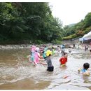 관악산 신림계곡 '어린이 물놀이장' 내달 11일 개장 이미지