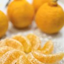 봄이네 | 봄이네감귤 고당도 제주한라봉 후기｜산지직송이라 맛이 다르다