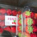 서문상회 이미지