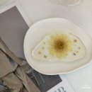 메이공방 이미지