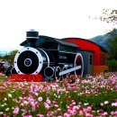 곡성-232 이미지