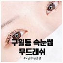 212래쉬 | [구월동 속눈썹] 자극 없이 또렷한 눈매, 무드래쉬 노글루 온열펌 리얼 후기!