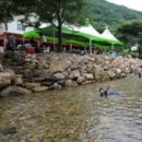 청강수계곡펜션 이미지