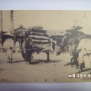 대牛도