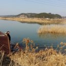 팔봉낚시터 네이버블로그