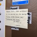 히포파운드