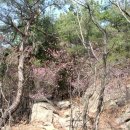 당고개약국 이미지