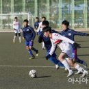 스토리브