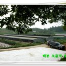 백봉농장 이미지