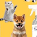 펫허그 네이버블로그
