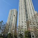 양영초등학교 | 분당구 서현동 임장 후기 - 시범단지 효자촌 아파트